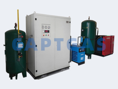 Nitrogen generator for food industry